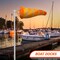 G128 Orange Windsock 60 Inch | Printed 210D Polyester | Heavy Duty Polyester Wind Direction Measurement with Reflective Belt, For Outdoor Airport, Farm and Park